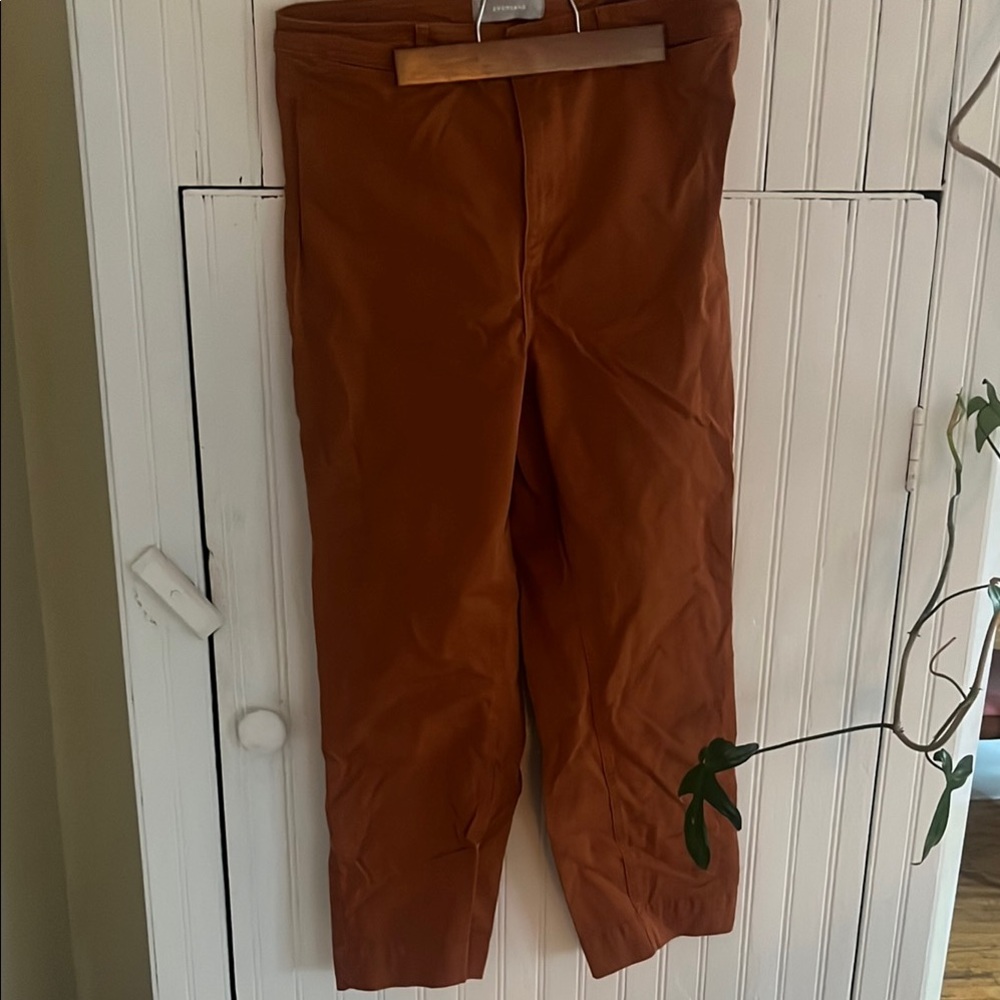 Cute Everlane slightly cropped chinos, size 10. Great for spring!